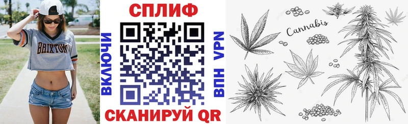 Наркошоп купить Гашиш  СОЛЬ  Галлюциногенные грибы  Cocaine  Меф  Кыштым