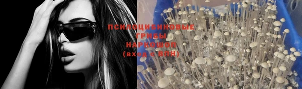 трава Богданович